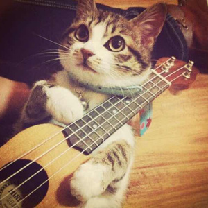 粗口变态辱骂调教91
